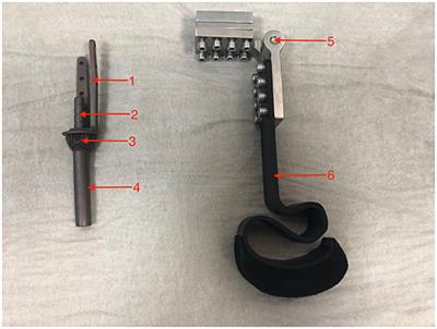 Implantation of an Intraosseous Transcutaneous Amputation Prosthesis Restoring Ambulation After Amputation of the Distal Aspect of the Left Tibia in an Arabian Tahr (Arabitragus jayakari)